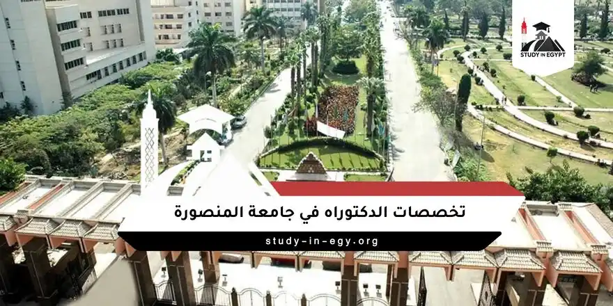 تخصصات الدكتوراه في جامعة المنصورة