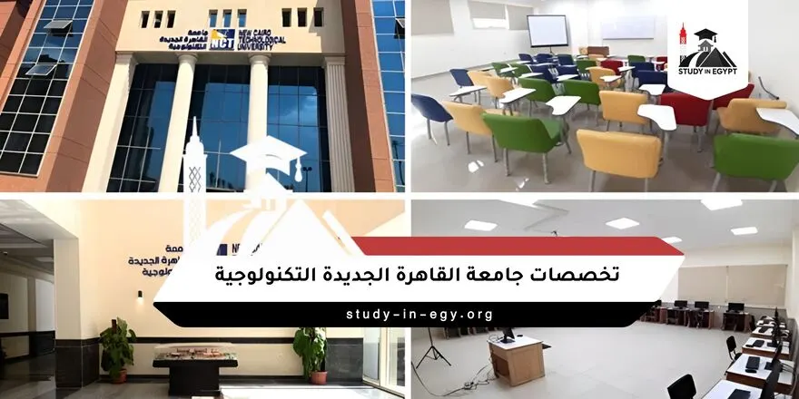تخصصات جامعة القاهرة الجديدة التكنولوجية