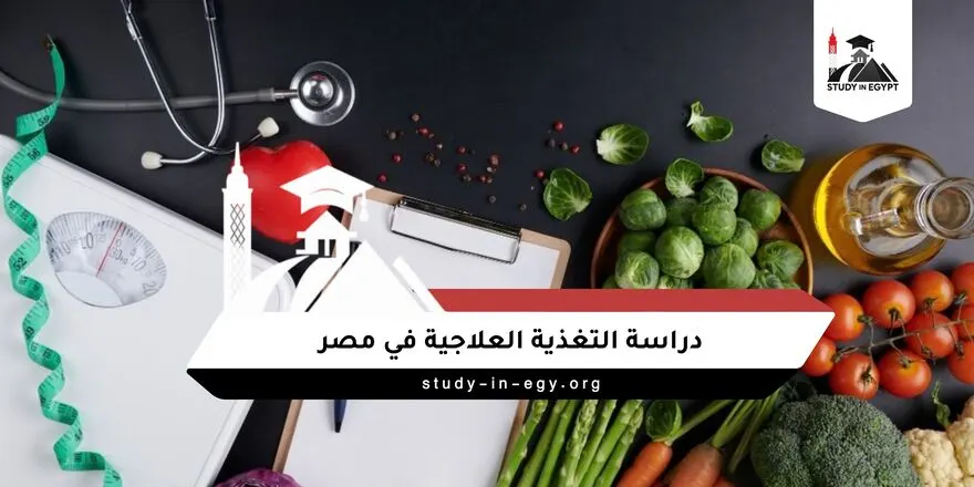 دراسة التغذية العلاجية في مصر