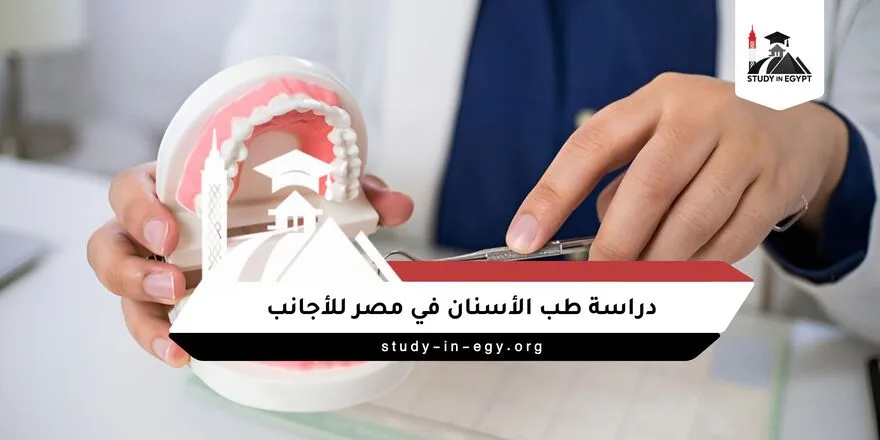 دراسة طب الأسنان في مصر للاجانب