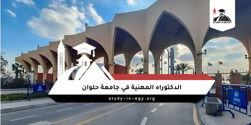 دكتوراه مهنية جامعة حلوان