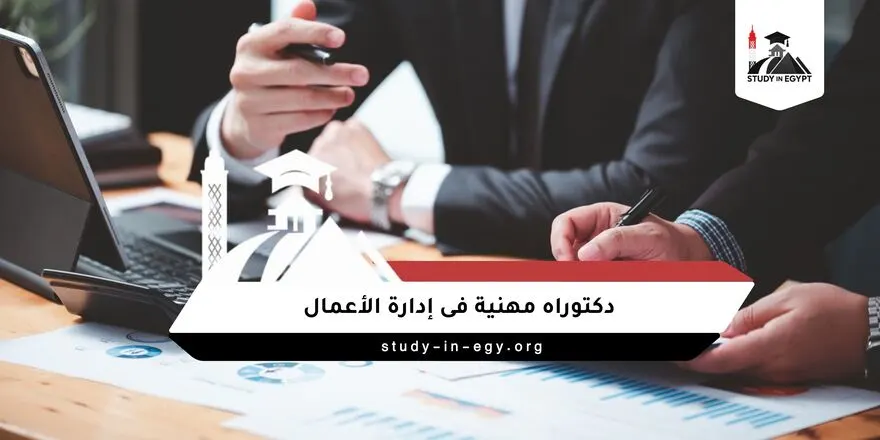 دكتوراه مهنية فى ادارة الاعمال