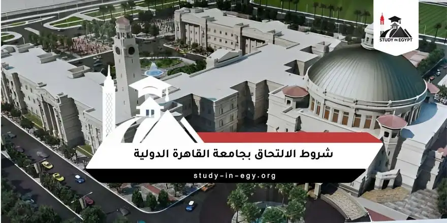 شروط الالتحاق بجامعة القاهرة الدولية