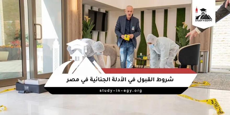 شروط القبول في الأدلة الجنائية في مصر