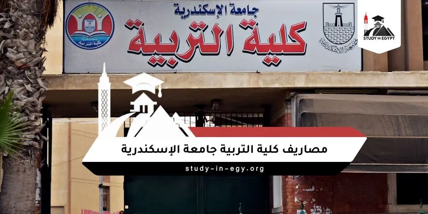مصاريف كلية التربية جامعة الإسكندرية