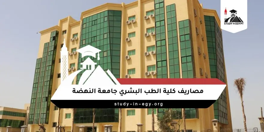 مصاريف كلية الطب البشري جامعة النهضة