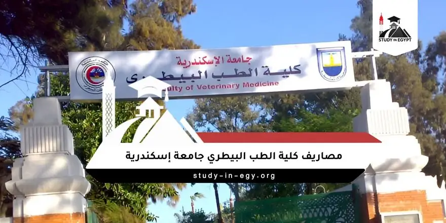 مصاريف كلية الطب البيطري جامعة إسكندرية