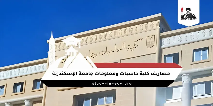 مصاريف كلية حاسبات ومعلومات جامعة الإسكندرية