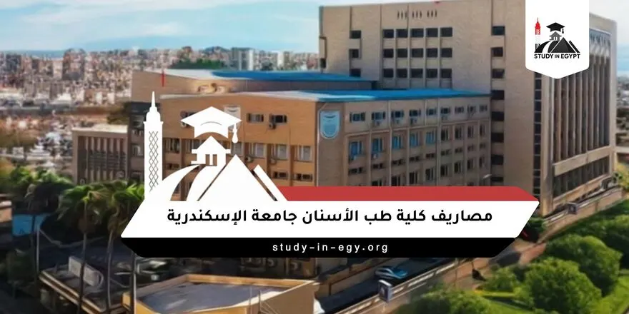 مصاريف كلية طب الأسنان جامعة الإسكندرية