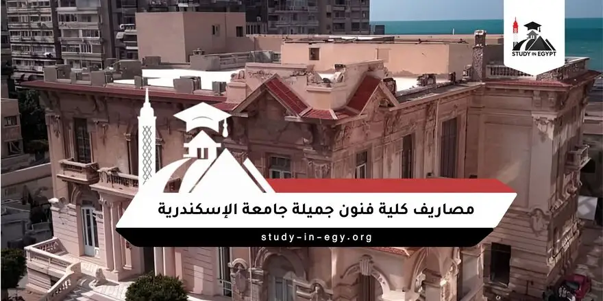 مصاريف كلية فنون جميلة جامعة الإسكندرية