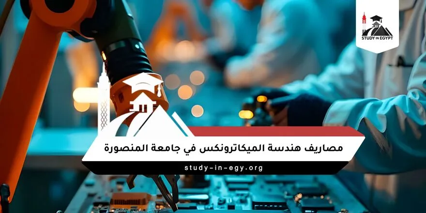 مصاريف هندسة ميكاترونكس جامعة المنصورة