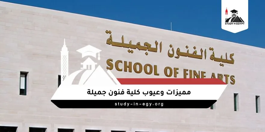 مميزات وعيوب كلية فنون جميلة