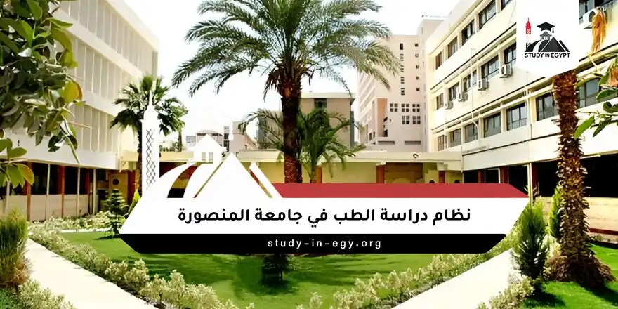 نظام دراسة الطب في جامعة المنصورة