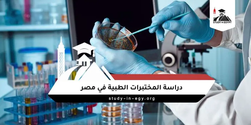 دراسة المختبرات الطبية في مصر