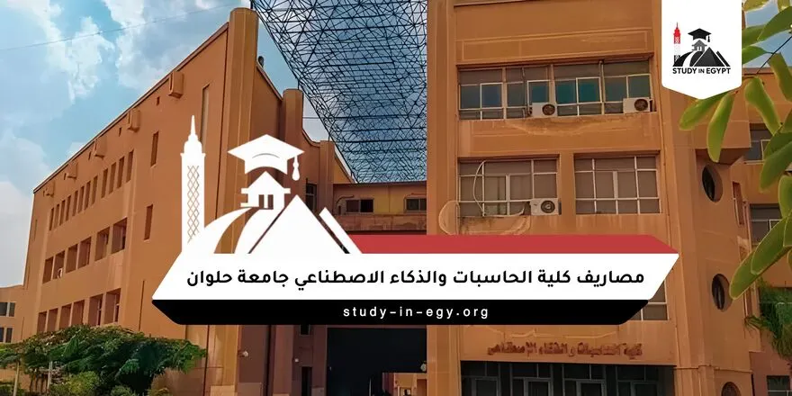 مصاريف كلية الحاسبات والذكاء الاصطناعي جامعة حلوان