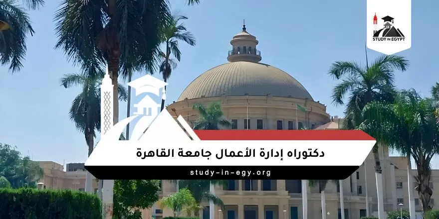 دكتوراه إدارة الأعمال جامعة القاهرة