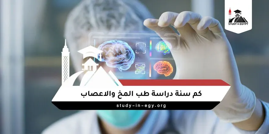 كم سنة دراسة طب المخ والاعصاب