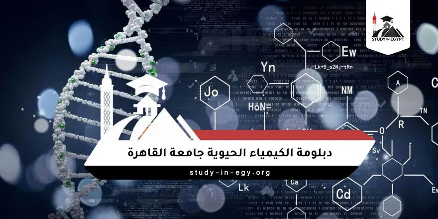 دبلومة الكيمياء الحيوية جامعة القاهرة