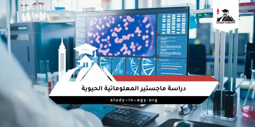 دراسة ماجستير المعلوماتية الحيوية