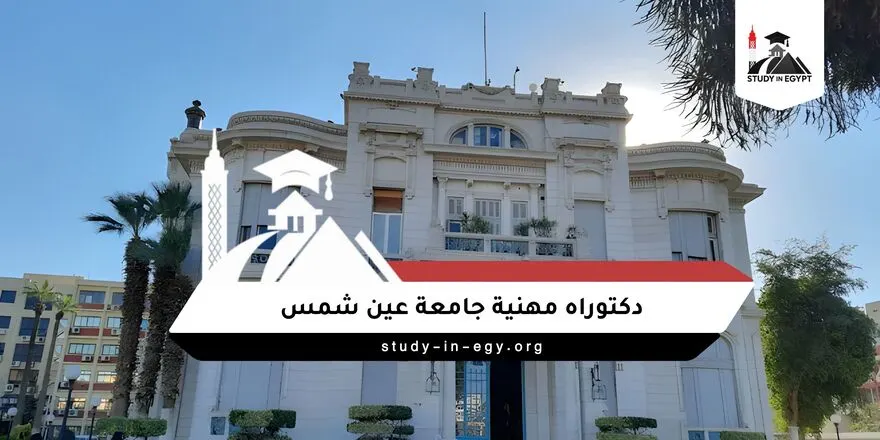 دكتوراه مهنية جامعة عين شمس