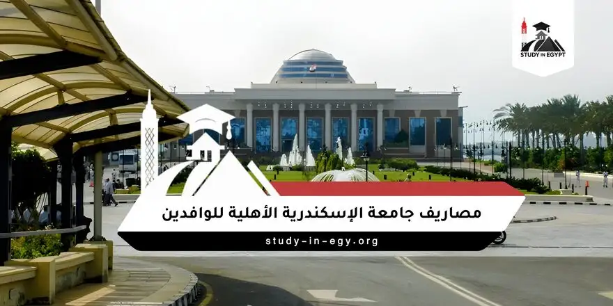 مصاريف جامعة الإسكندرية الأهلية للوافدين