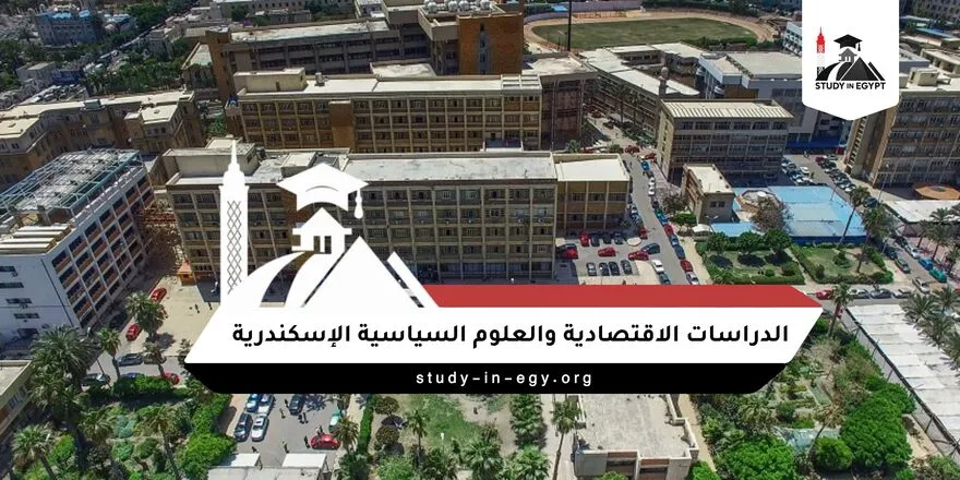 الدراسات الاقتصادية والعلوم السياسية الاسكندرية