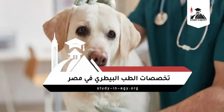 تخصصات الطب البيطري في مصر